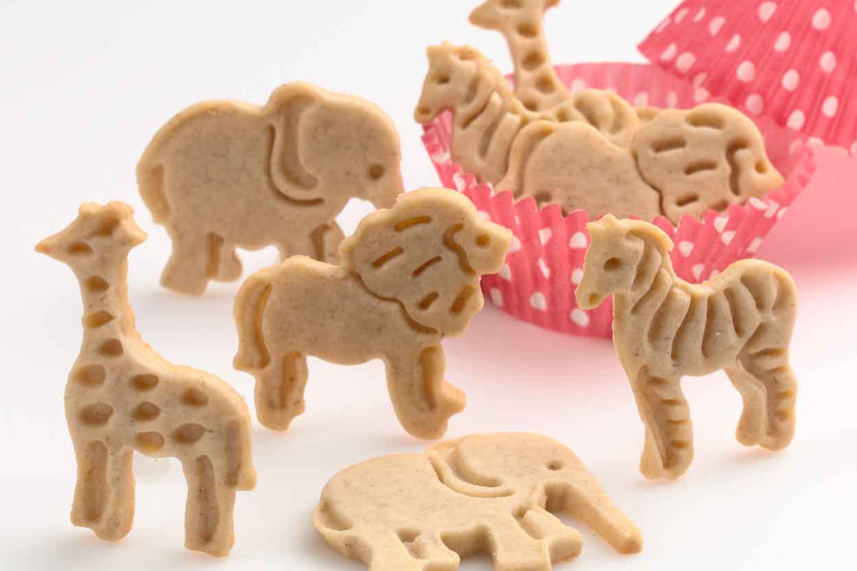 animal biscuits